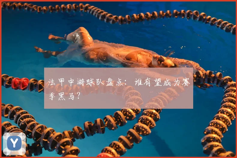 法甲中游球队盘点:谁有望成为赛季黑马?